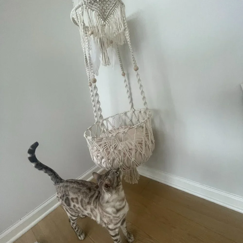 Cat hammock
